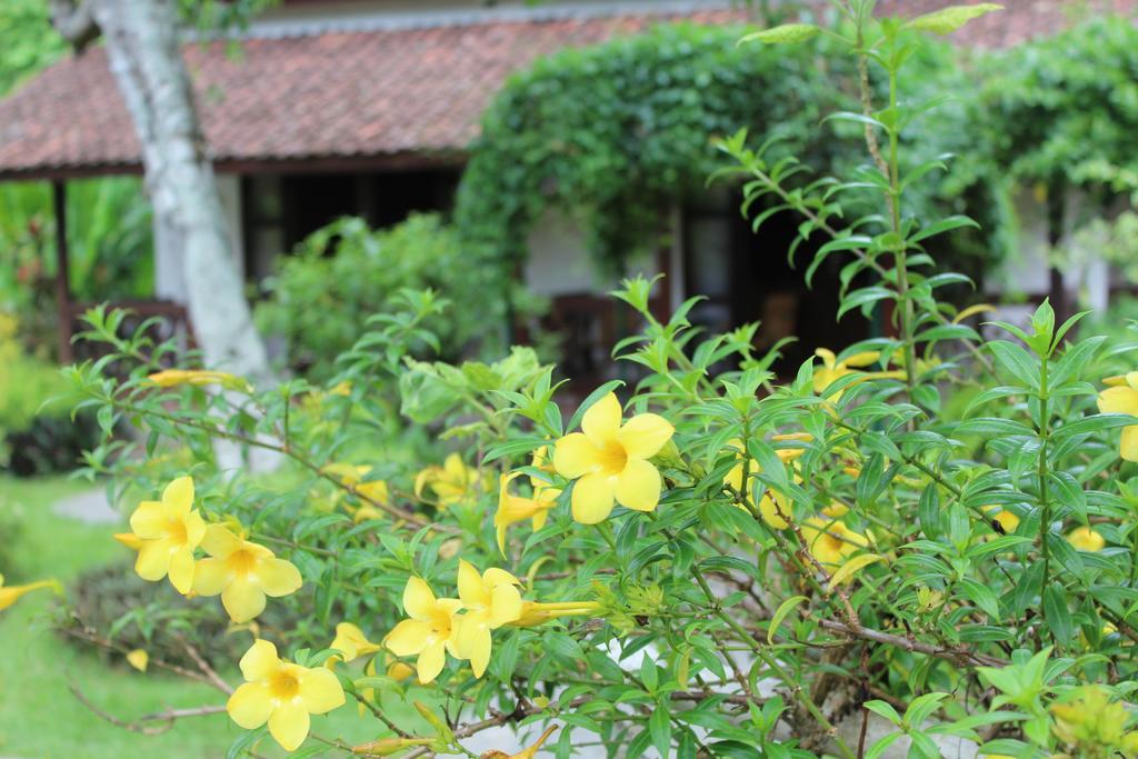 มาร์โก อูโตโม อาโกร รีสอร์ต Hotel Kalibaru ภายนอก รูปภาพ